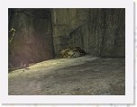 Dierentuin Burgers  Zoo 014 * 3648 x 2736 * (4.56MB)